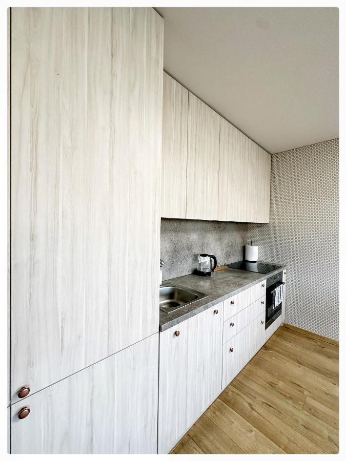 Apartaments In The City Centre Kaunas Eksteriør bilde