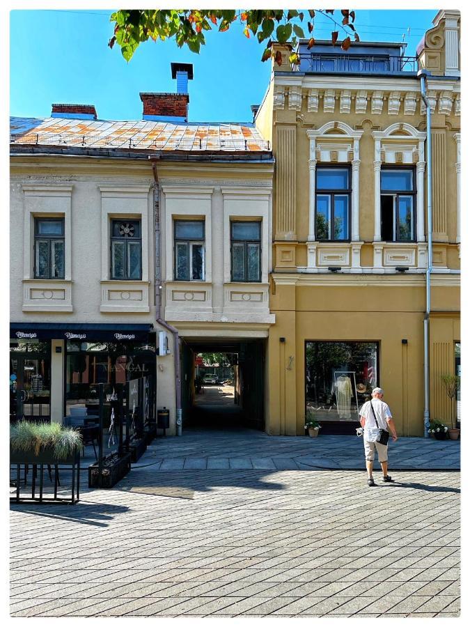 Apartaments In The City Centre Kaunas Eksteriør bilde
